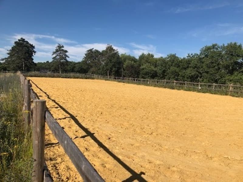 Esclusiva Tenuta di 80ha con Lago di 10ha (7)