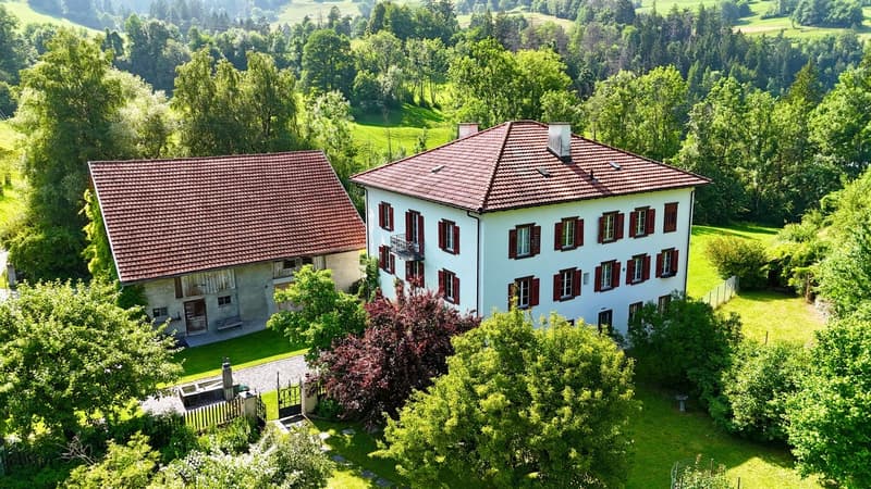 Tenuta di charme con 21 ettari di terreno, casa del contadino e stalle (4)