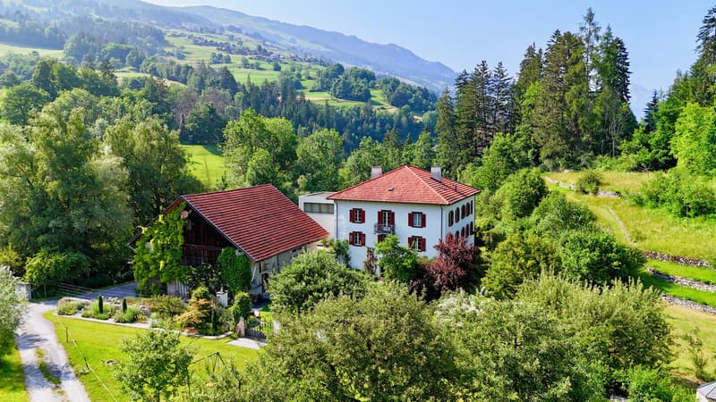 Tenuta di charme con 21 ettari di terreno, casa del contadino e stalle (2)