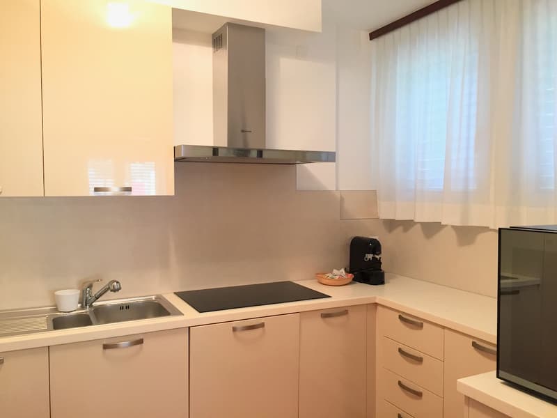 Moderno Appartamento Ristrutturato nel Cuore di Bellinzona (3)
