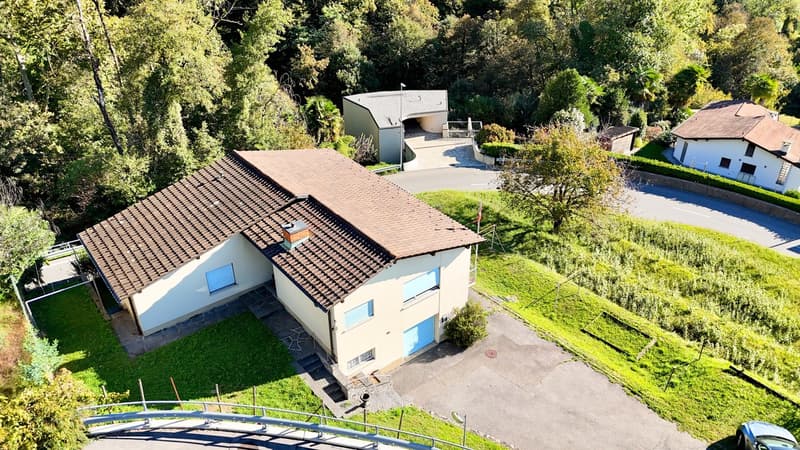 Terreno edificabile in zona verde e ottimo potenziale a Pura (3)