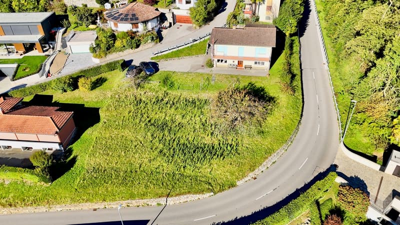 Terreno edificabile in zona verde e ottimo potenziale a Pura (7)