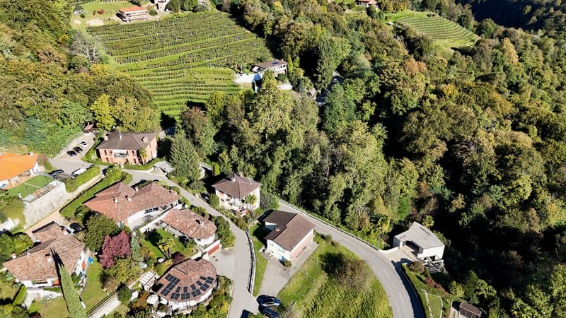 Terreno edificabile in zona verde e ottimo potenziale a Pura (5)