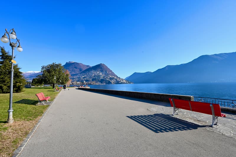 Prestigioso Spazio Commerciale in Prima Linea a Lago nel Central Park (10)