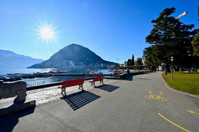 Prestigioso Spazio Commerciale in Prima Linea a Lago nel Central Park (11)