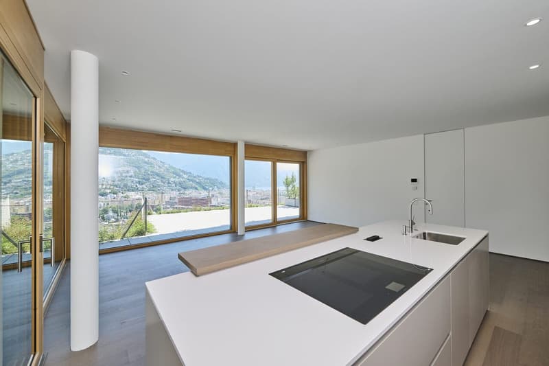 Attico in vendita a Lugano 4,5 locali con terrazza, giardino e vista (3)