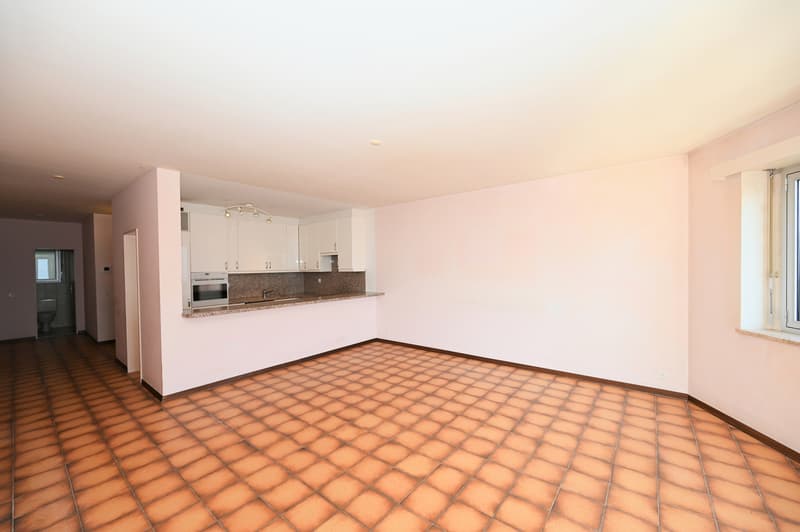 VISTA LAGO IMPERDIBILE - APPARTAMENTO 4.5 LOCALI CON POTENZIALE (5)