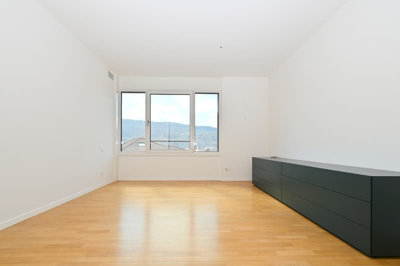Moderno e Luminoso Appartamento con Terrazza Panoramica a Vacallo (9)