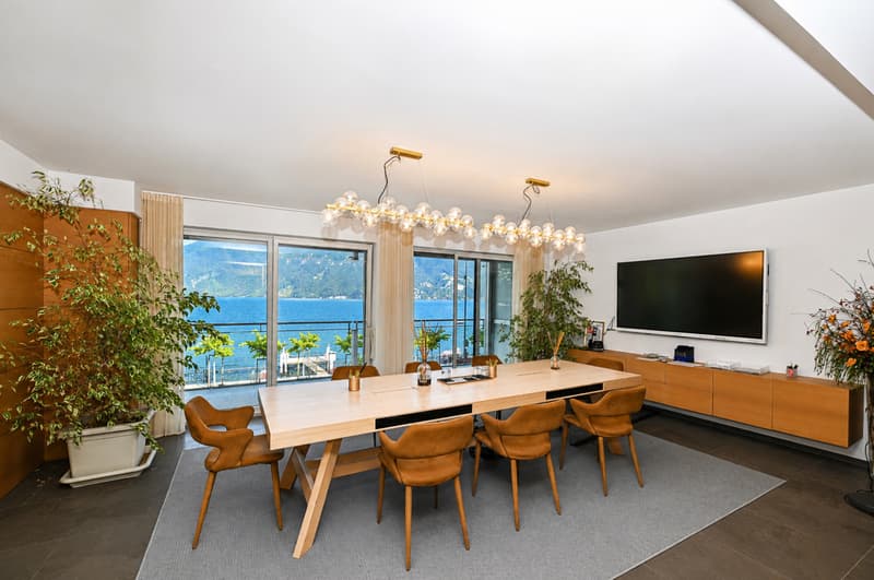 Representative Offices with Lake View and Parking in the Heart of Lugano (4)