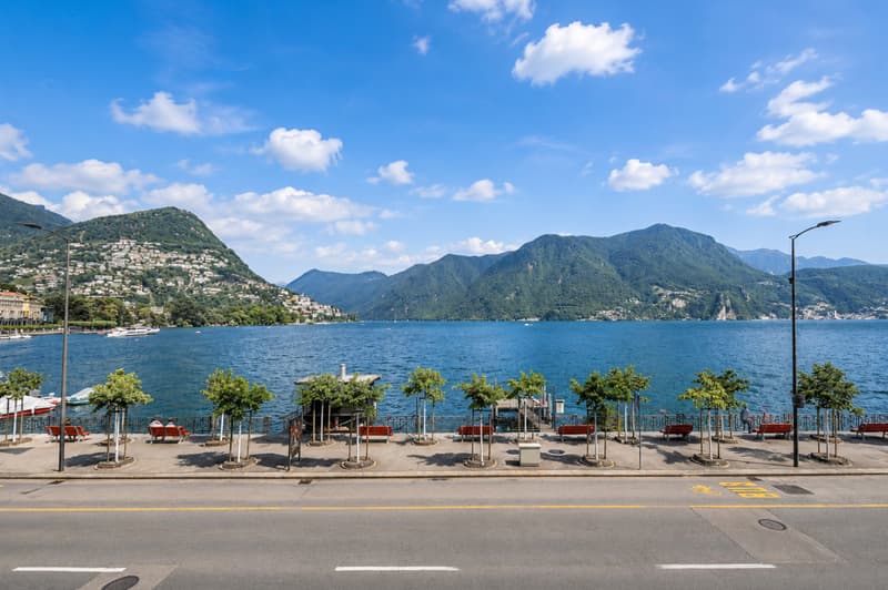Representative Offices with Lake View and Parking in the Heart of Lugano (3)