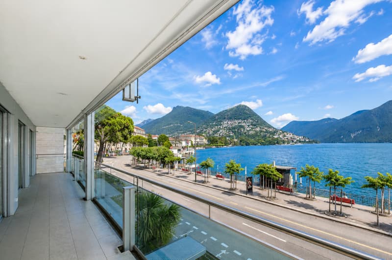 Representative Offices with Lake View and Parking in the Heart of Lugano (2)