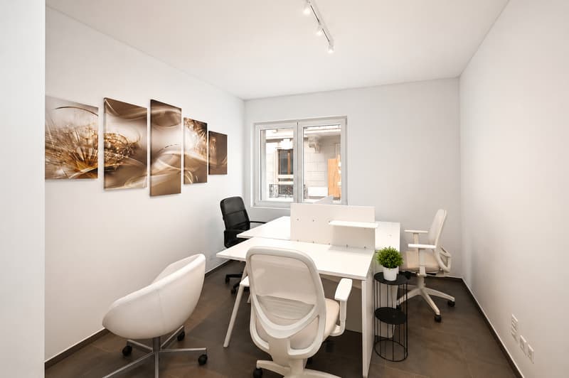Representative Offices with Lake View and Parking in the Heart of Lugano (9)