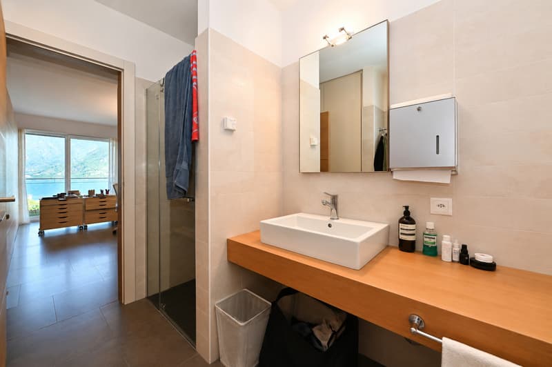 Representative Offices with Lake View and Parking in the Heart of Lugano (13)