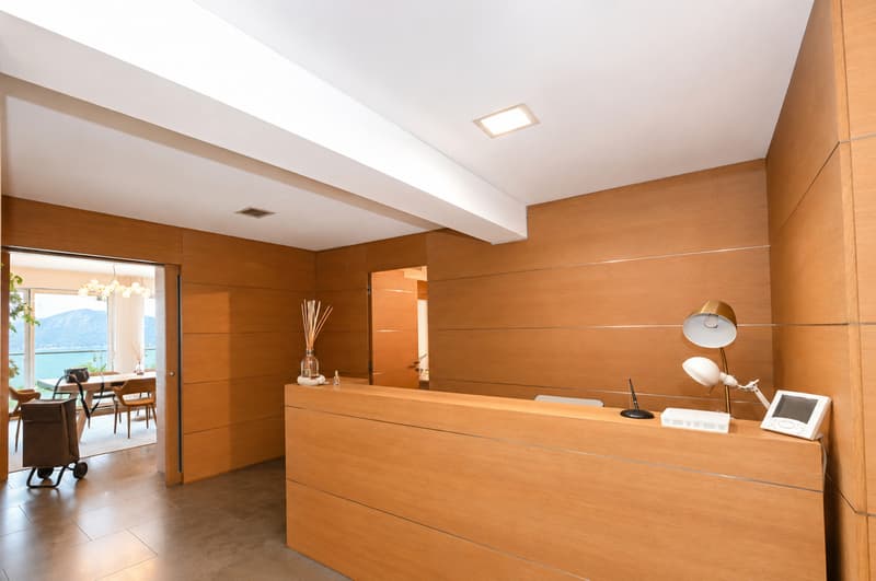 Representative Offices with Lake View and Parking in the Heart of Lugano (6)