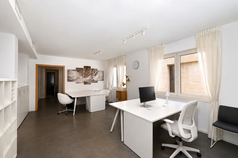 Representative Offices with Lake View and Parking in the Heart of Lugano (8)