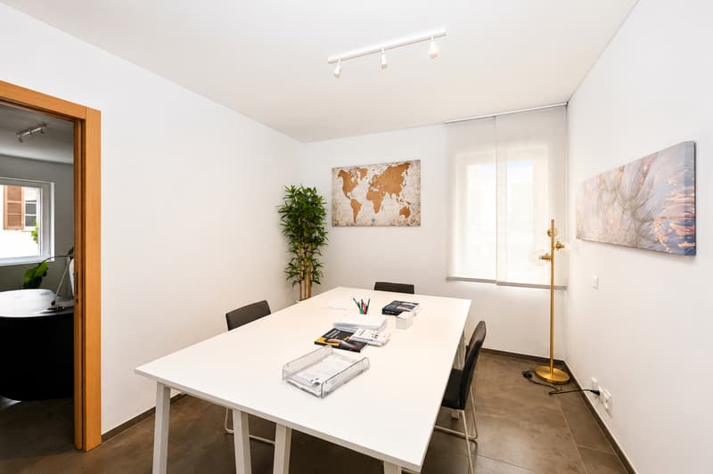 Representative Offices with Lake View and Parking in the Heart of Lugano (7)