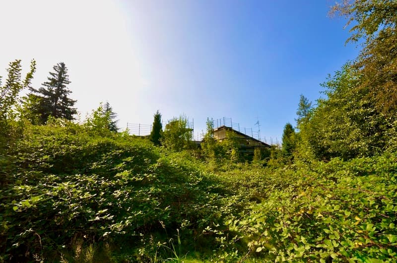 Villa da Ristrutturare Immersa in un Grande Parco con Tanta Privacy (11)