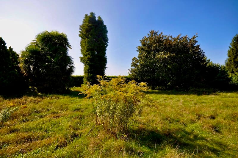 Villa da Ristrutturare Immersa in un Grande Parco con Tanta Privacy (12)