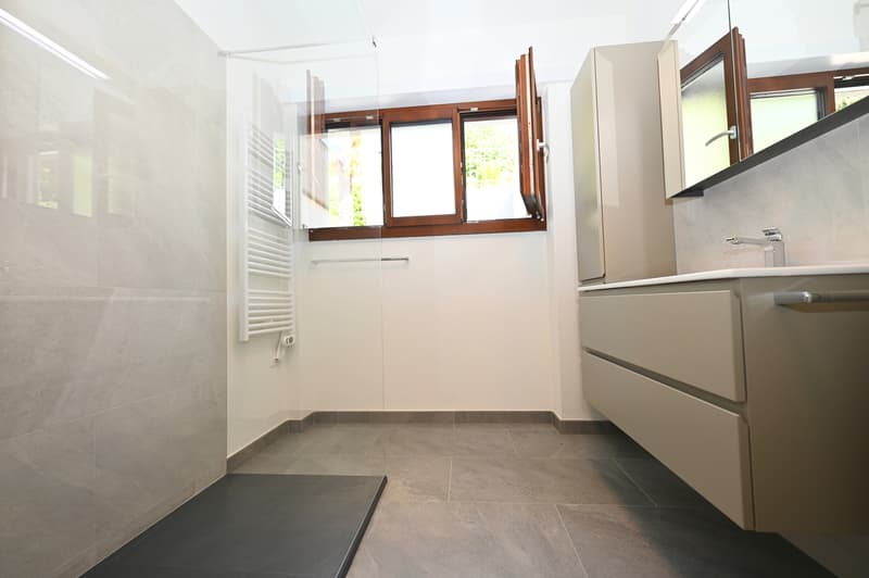 Splendida Villa Completamente Ristrutturata con Piscina e Vista Lago (12)