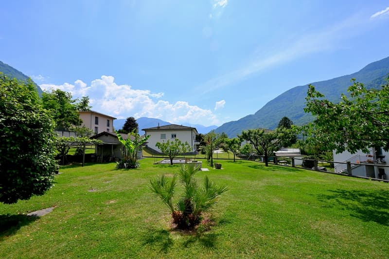 Proprietà con 3 Appartamenti e Potenziale Edificatorio (5)