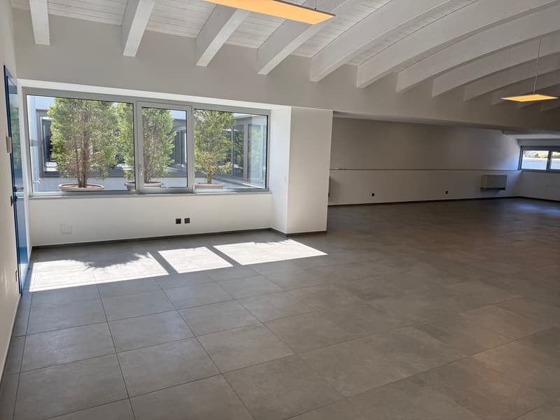 Ufficio di 330m2 - Ideale per Uso Proprio e/o Investimento a Reddito (1)