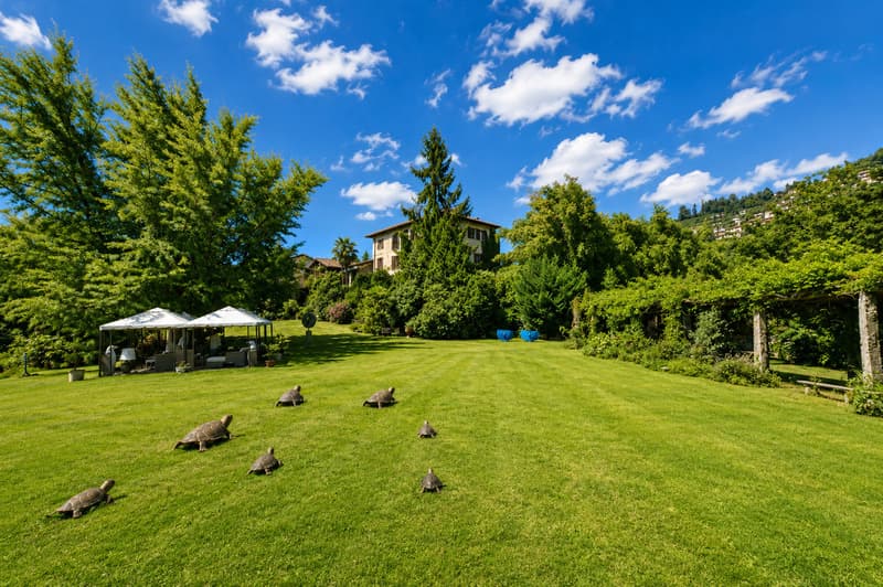 Eleganza Senza Tempo: Tenuta Storica Sospesa tra Lago, Vigneti e Cielo (5)