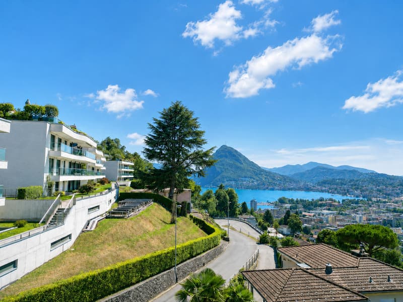 Elegante Appartamento con Terrazza e Vista Panoramica sul Lago e Monti (1)