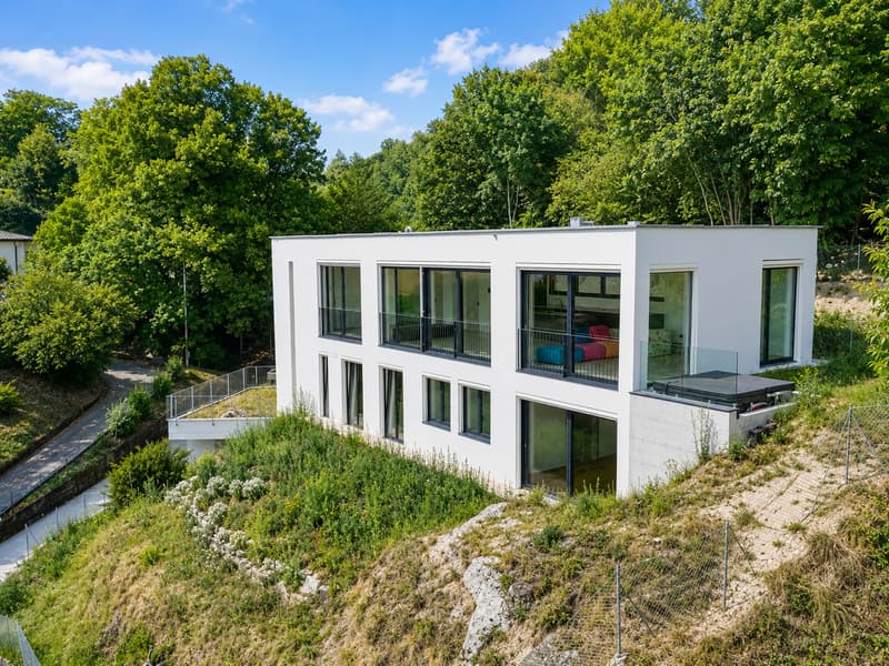 Villa Contemporanea Immersa nel Verde con Vista Panoramica (3)