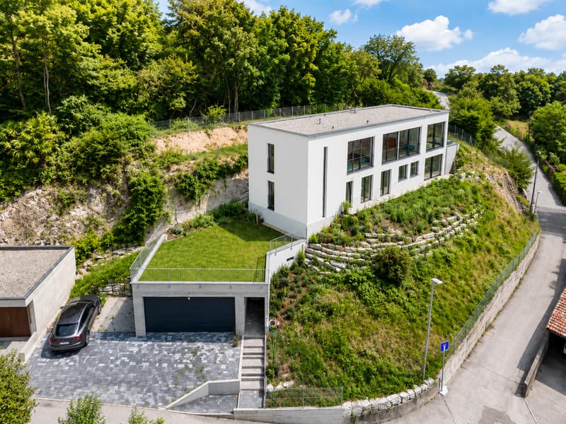 Villa Contemporanea Immersa nel Verde con Vista Panoramica (2)