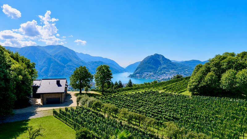Esclusiva Villa circondata dai Vigneti con Vista Aperta sul Lago (1)