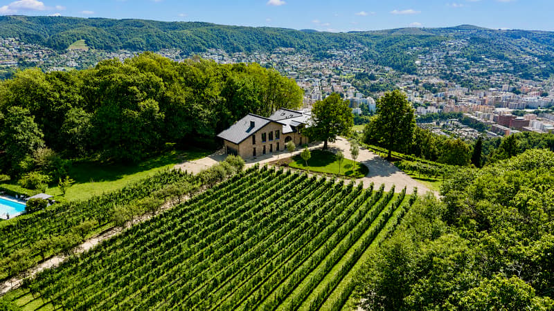 Esclusiva Villa circondata dai Vigneti con Vista Aperta sul Lago (2)