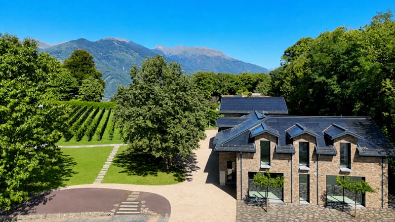 Esclusiva Villa circondata dai Vigneti con Vista Aperta sul Lago (5)
