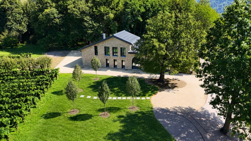 Esclusiva Villa circondata dai Vigneti con Vista Aperta sul Lago (3)