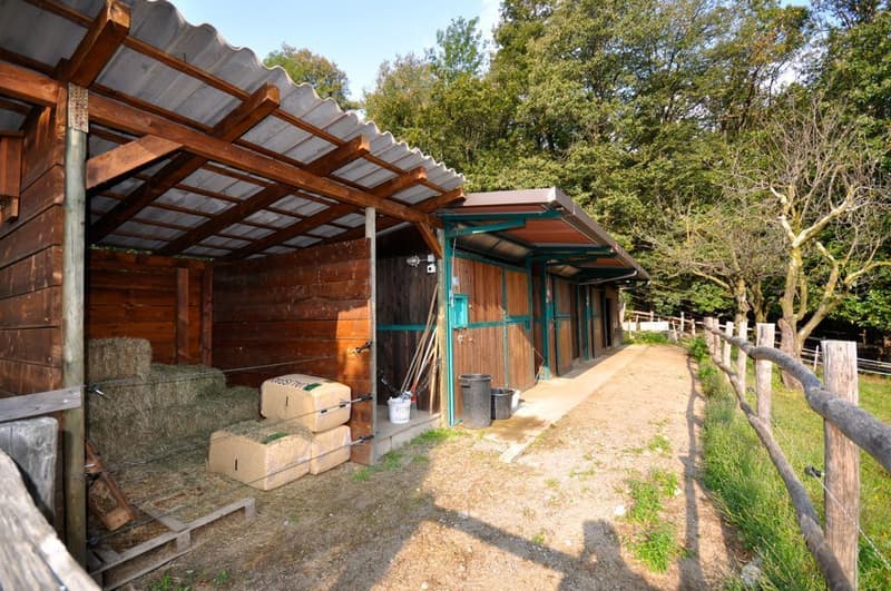 Casa di ?ampagna Immersa nel Verde con Piscina e Scuderia ad Origlio (13)