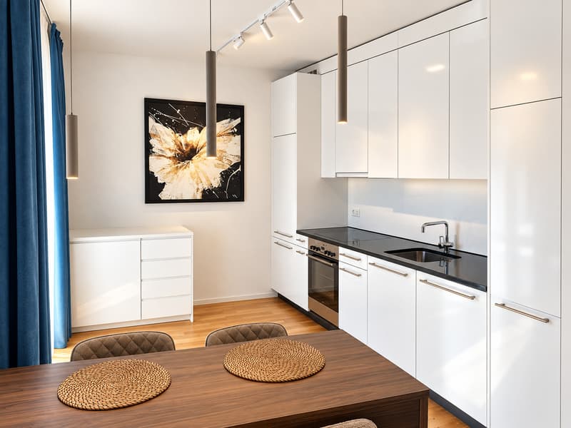 Lugano centro - Elegante appartamento arredato di 2.5 locali (2)