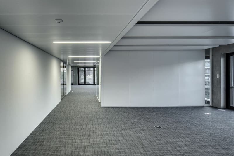 OSTERWALDER TOWER - Spazi Ufficio Rappresentativi (9)