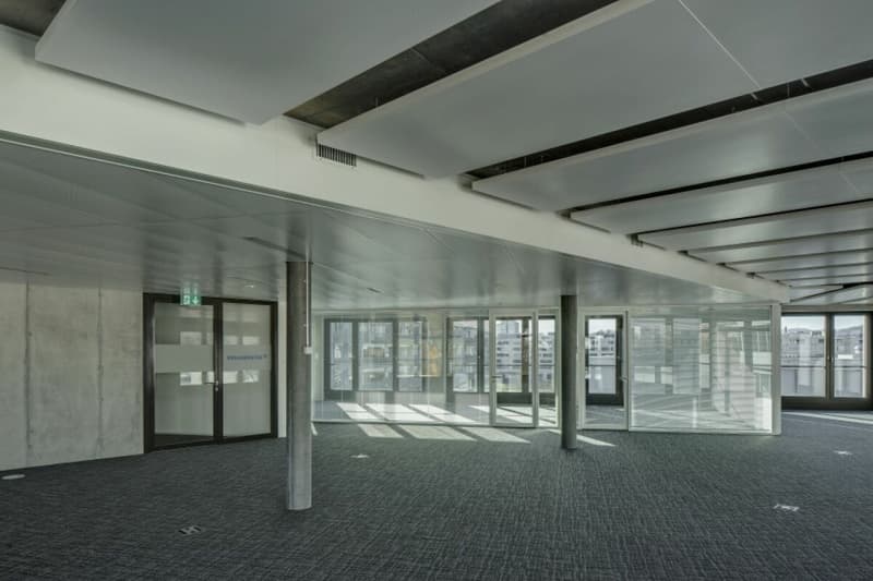 OSTERWALDER TOWER - Spazi Ufficio Rappresentativi (12)