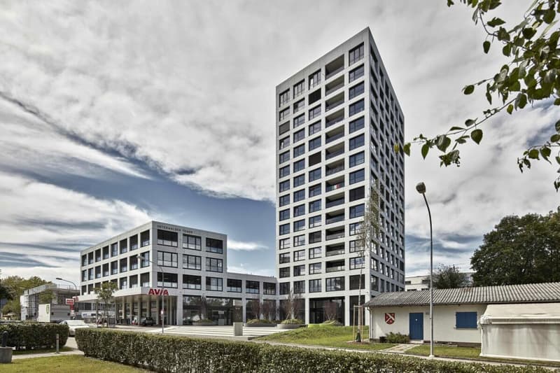 OSTERWALDER TOWER - Spazi Ufficio Rappresentativi (14)