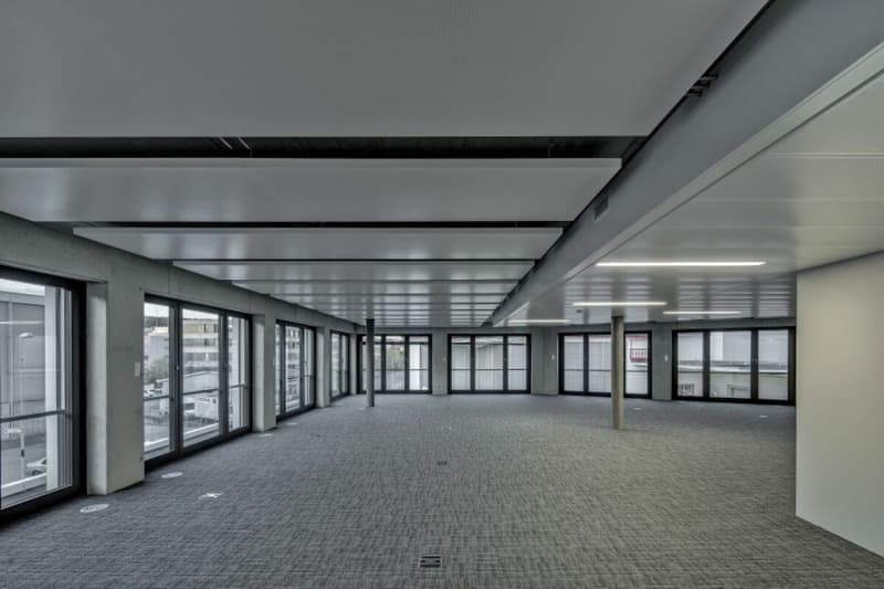 OSTERWALDER TOWER - Spazi Ufficio Rappresentativi (10)