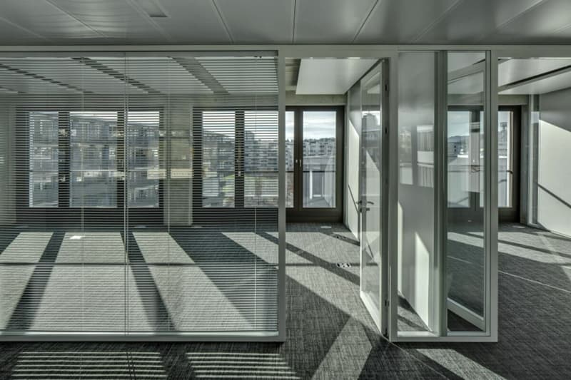 OSTERWALDER TOWER - Spazi Ufficio Rappresentativi (3)