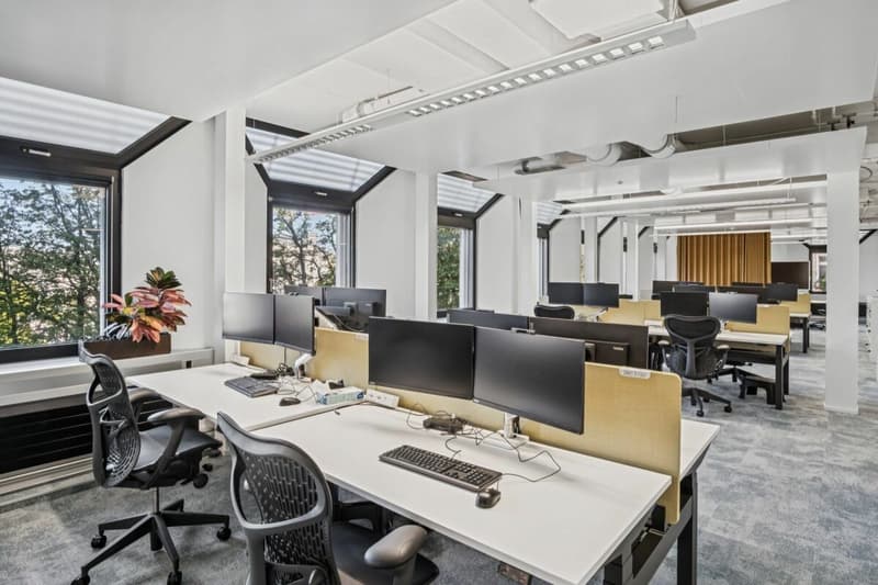 Top Business-Location zum Spitzenpreis! (6)