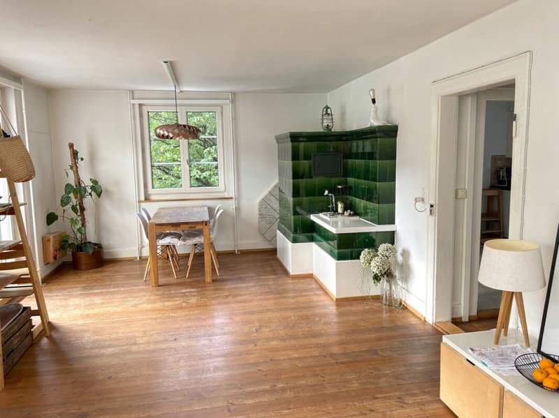 3.5-Zimmer-Wohnung in Zürich (1)