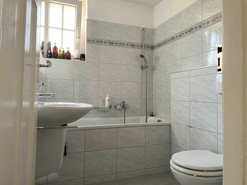 3.5-Zimmer-Wohnung in Zürich (9)