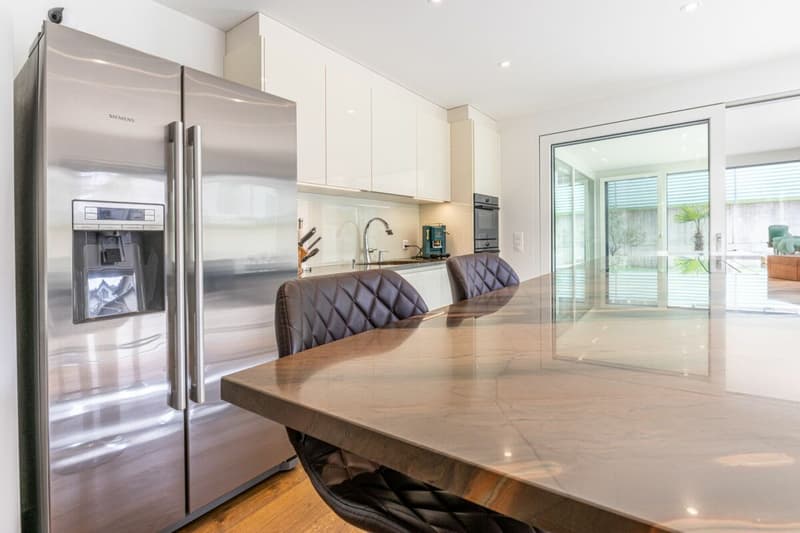 Modern 4.5-room apartment with large outdoor area and winter garden (3)