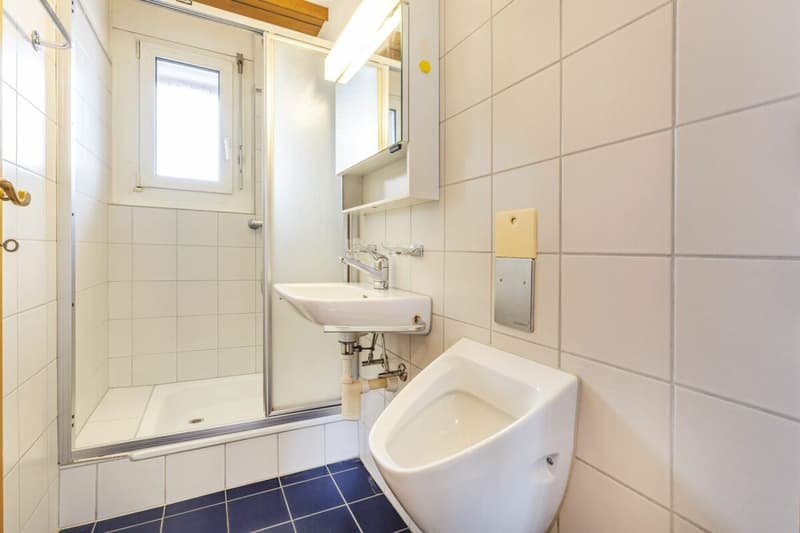Appartement unique et lumineux avec plan d'étage individuel et deux balcons (8)