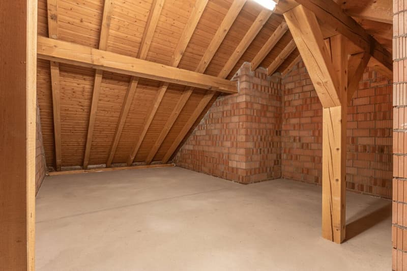 Appartement unique et lumineux avec plan d'étage individuel et deux balcons (13)