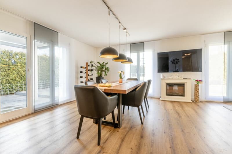 Maison individuelle détachée, moderne avec beaucoup d'espace pour vivre, les loisirs et les affaires (5)