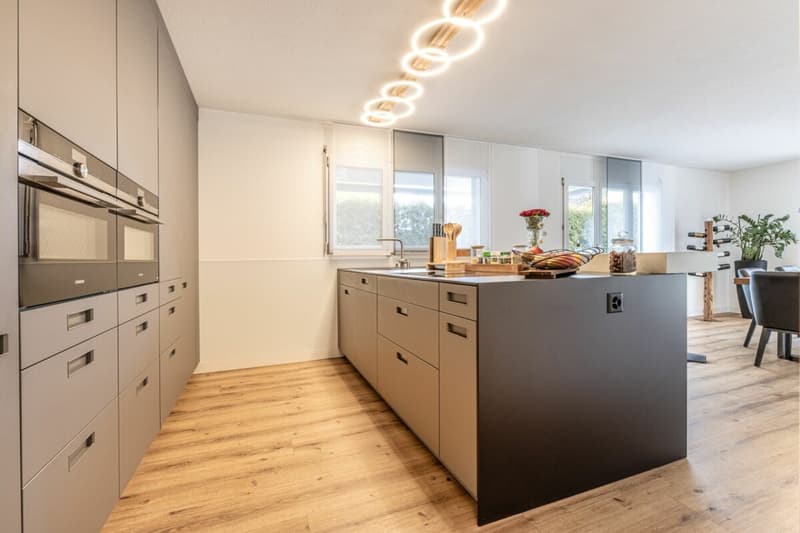 Maison individuelle détachée, moderne avec beaucoup d'espace pour vivre, les loisirs et les affaires (9)
