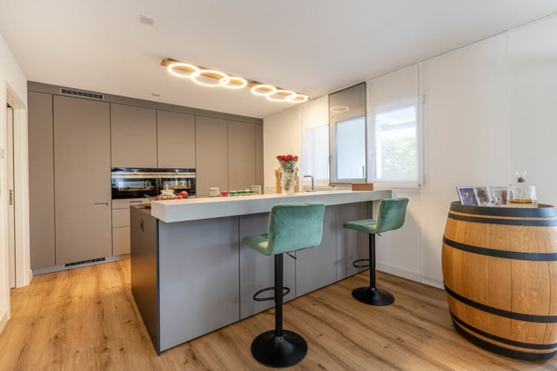 Maison individuelle détachée, moderne avec beaucoup d'espace pour vivre, les loisirs et les affaires (7)