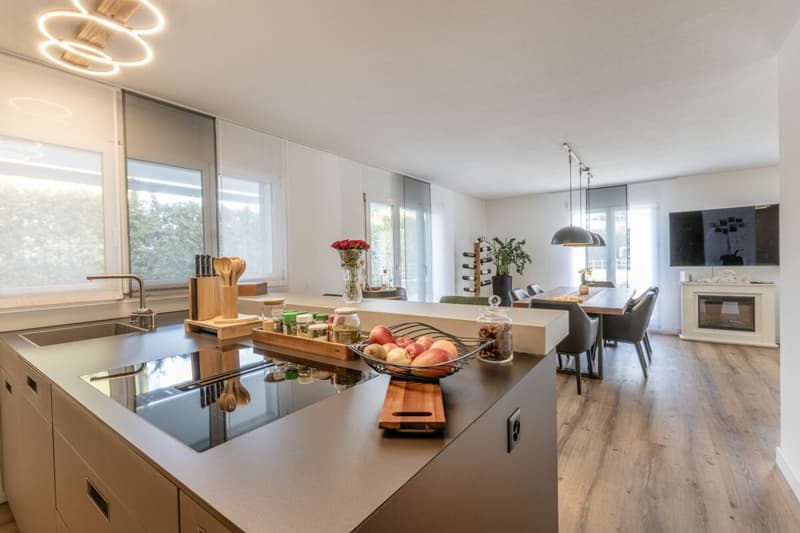 Maison individuelle détachée, moderne avec beaucoup d'espace pour vivre, les loisirs et les affaires (6)